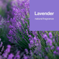 The Honest Company Lavender Sanitizing Alcohol Wipes, Antibacterial with Aloe, Kills 99% of Germs, 15 Count