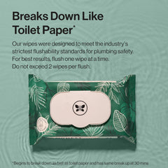 The Honest Company Family Flushables Bundle for Sensitive Skin | Adult Flushable Wipes (42 Count) + Toddler Flushable Wipes (42 Count) | Fragrance Free, Hypoallergenic, 99% Water, Safe to Flush