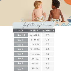 The Honest Company Comfort Dry Disposable Diapers, Plant-Based, Sustainable Winter '24 Seasonal Prints, Club Box, Size 3, (16-28 lbs), 62 Count