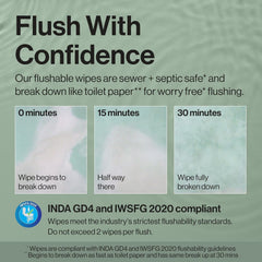 The Honest Company Hypoallergenic Flushable Wipes for Sensitive Skin, Gilded Wings, 42 Count