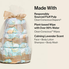 The Honest Company Diaper Cake, Diapers Baby Personal Care Plant-Based Wipes Above it All Regular Size 1 8-14 lbs, 35 Count